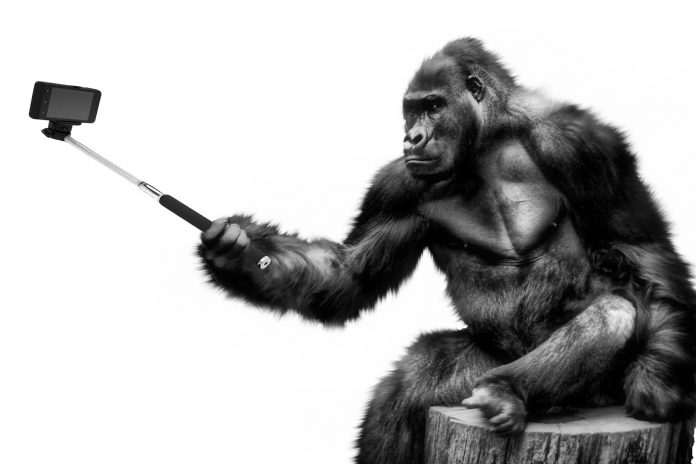 selfie-stick_web