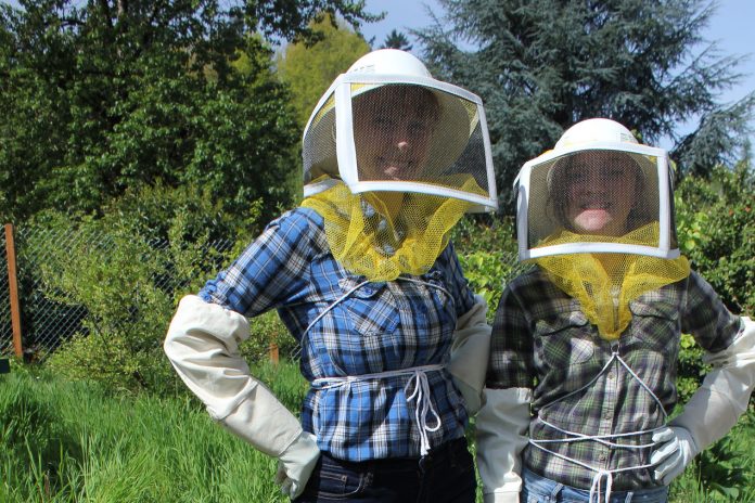 ac_bees_cc_web