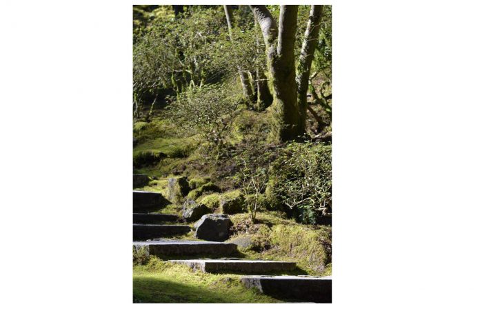 exploringonfoot_cardullo_web