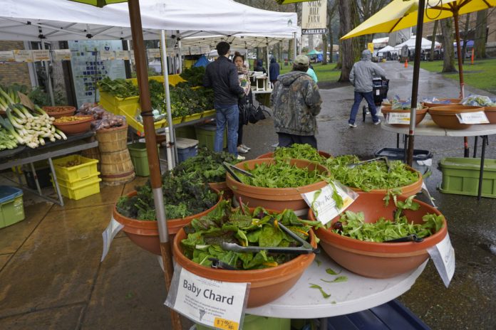 farmersmarket_lara_web