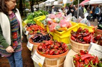 Farmers Market