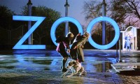 Carnal knowledge: Twin scientist brothers enjoy the zoo a little too much in Peter Greenway’s film A Zed & Two Noughts