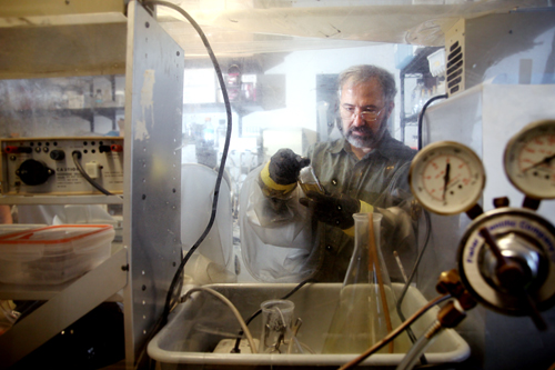Dr. Ranu Popa uses an Anaerobic Glove Box in his lab in Science Building 1 to study bacteria living in the absence of oxygen.