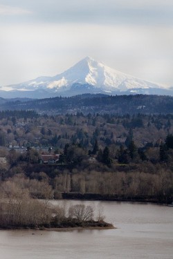 Seismic activity of Mount Hood is monitored with weekly updates issued by the USGS Cascades Volcano Observatory. 