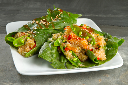 That’s a wrap! A healthy, protein-packed meal that won’t weigh you down. 