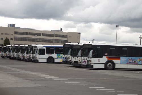 Street fleet Trimet will be adding 55 new buses this summer and will gradually replace old buses over the next three years. 
