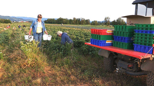 The unfinished documentary Gaining Ground will screen this weekend at Portland State. Photo © Media Project