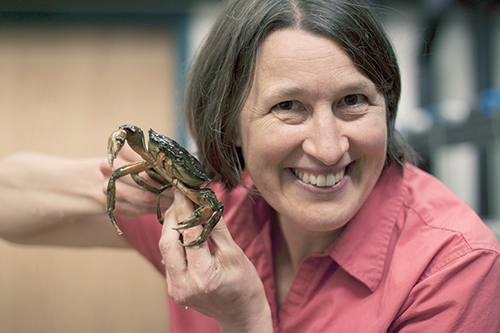 Professor Catherine deRivera, associate professor of environmental science. Fields of expertise include ecology and behavior of intertidal and nearshore marine and estuarine animals. Earned her doctoral degree from the University of  California, San Diego. Photo by Miles Sanguinetti.