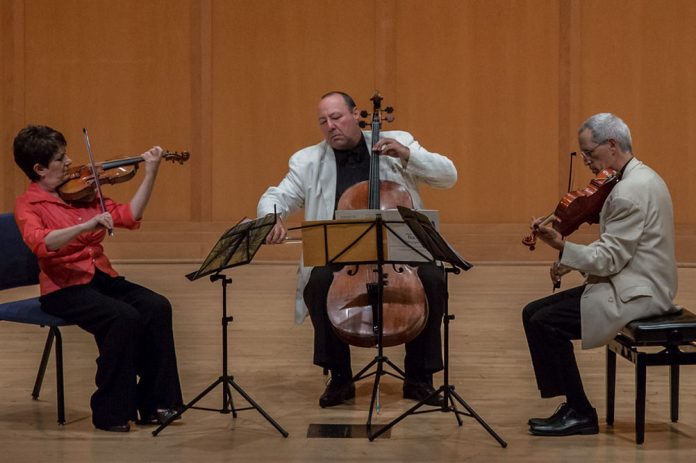 ac_ChamberMusicNW_cc_web