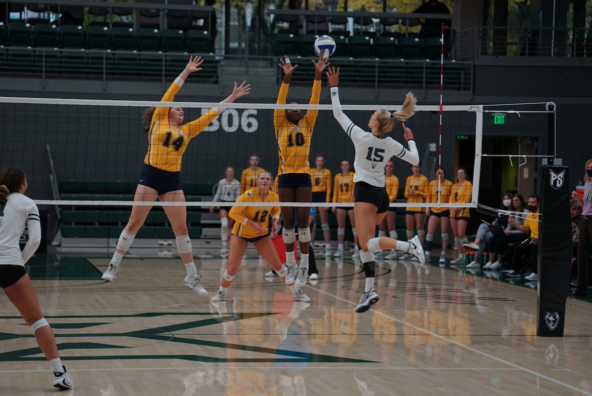 Look At These Volleyball Losers